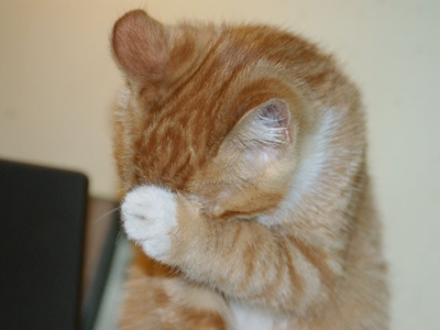 1469605401177282.png 猫咪洗脸.png