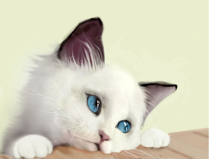 1489474804(1).png
