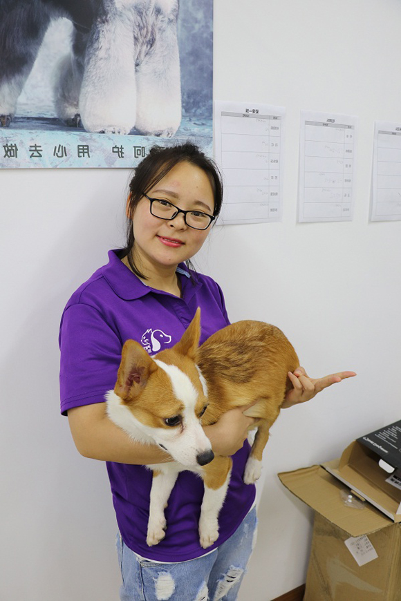 1536222728816393.jpg 朱红艳.jpg