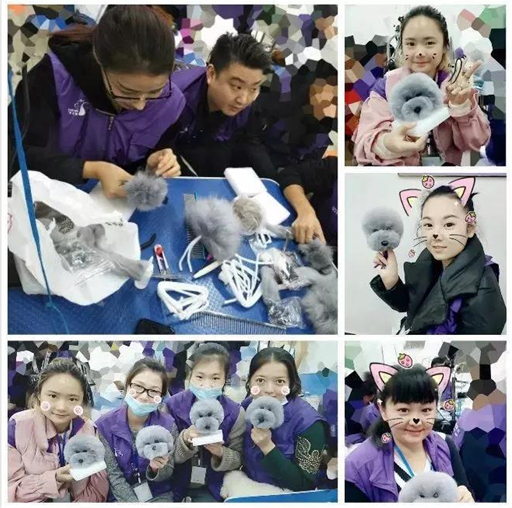 1543805554874683.jpg 微信图片_20181203103416.jpg