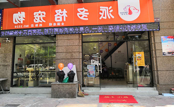开宠物店加盟品牌的重要性 开宠物店加盟品牌的重要性