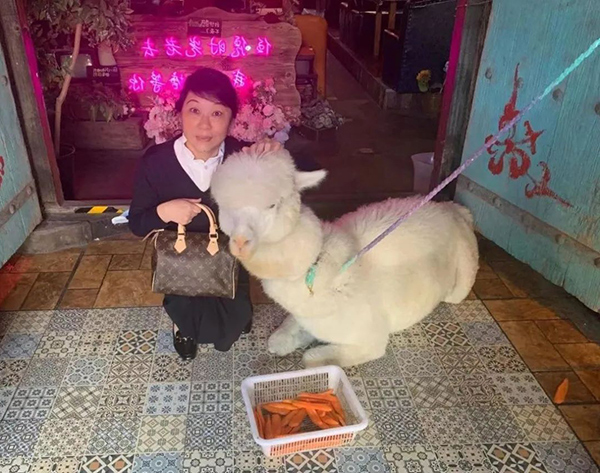 640.jpg