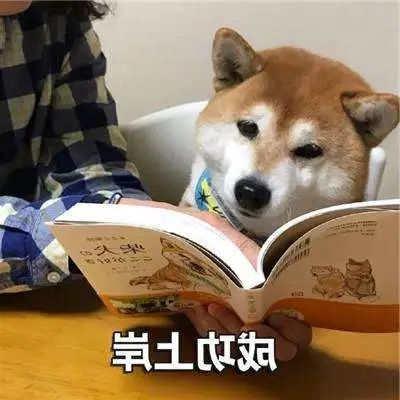 1667626370435049.jpg 640.jpg